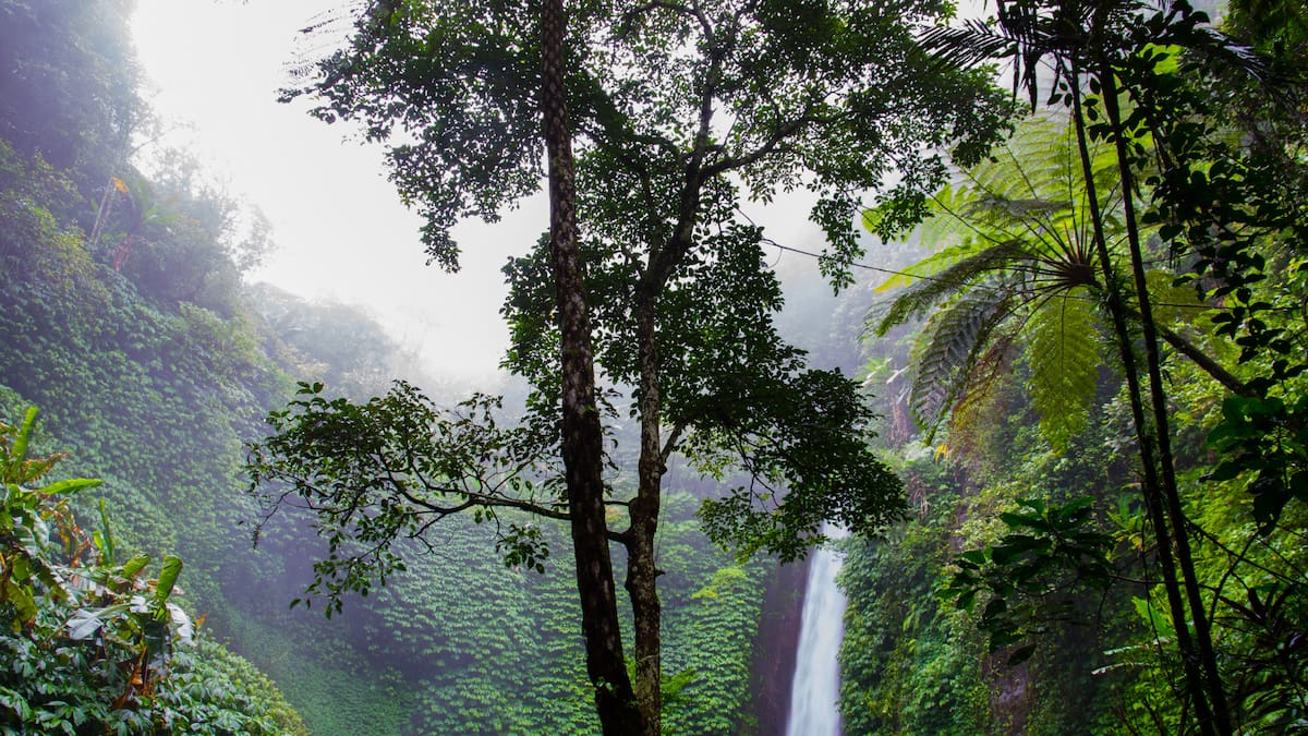 El cazador llevaba consigo 14 botellas de agua y comida equivalente a 900 calorías, las cuales intentó racionar durante el mayor tiempo posible. Foto: Canva