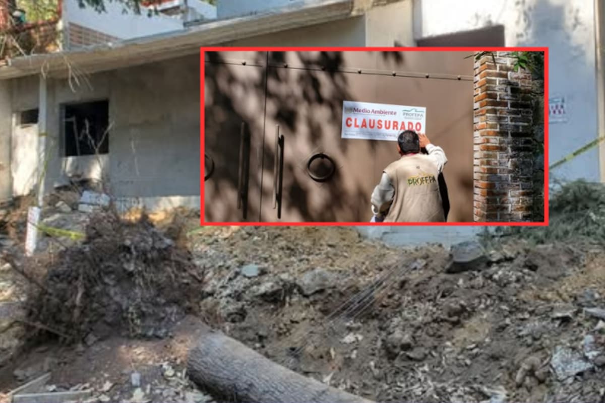 Profepa clausura construcciones ilegales en el Parque Nacional El Tepozteco y refuerza vigilancia en plantaciones forestales