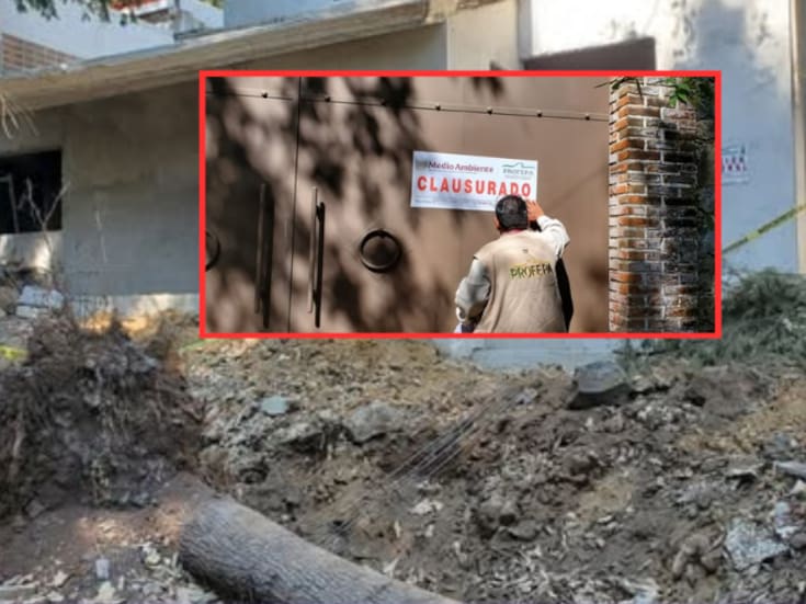 Profepa clausura construcciones ilegales en el Parque Nacional El Tepozteco y refuerza vigilancia en plantaciones forestales