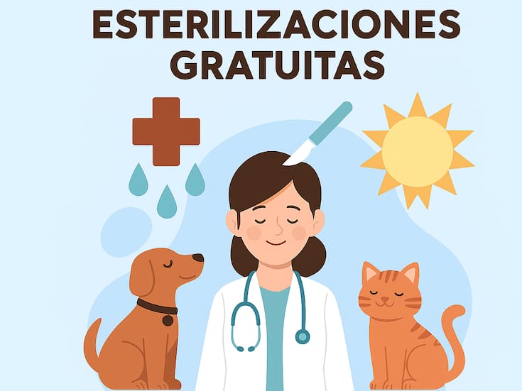 Esterilización gratuita en Hermosillo: solo 80 cupos para perros y gatos este 30 de septiembre