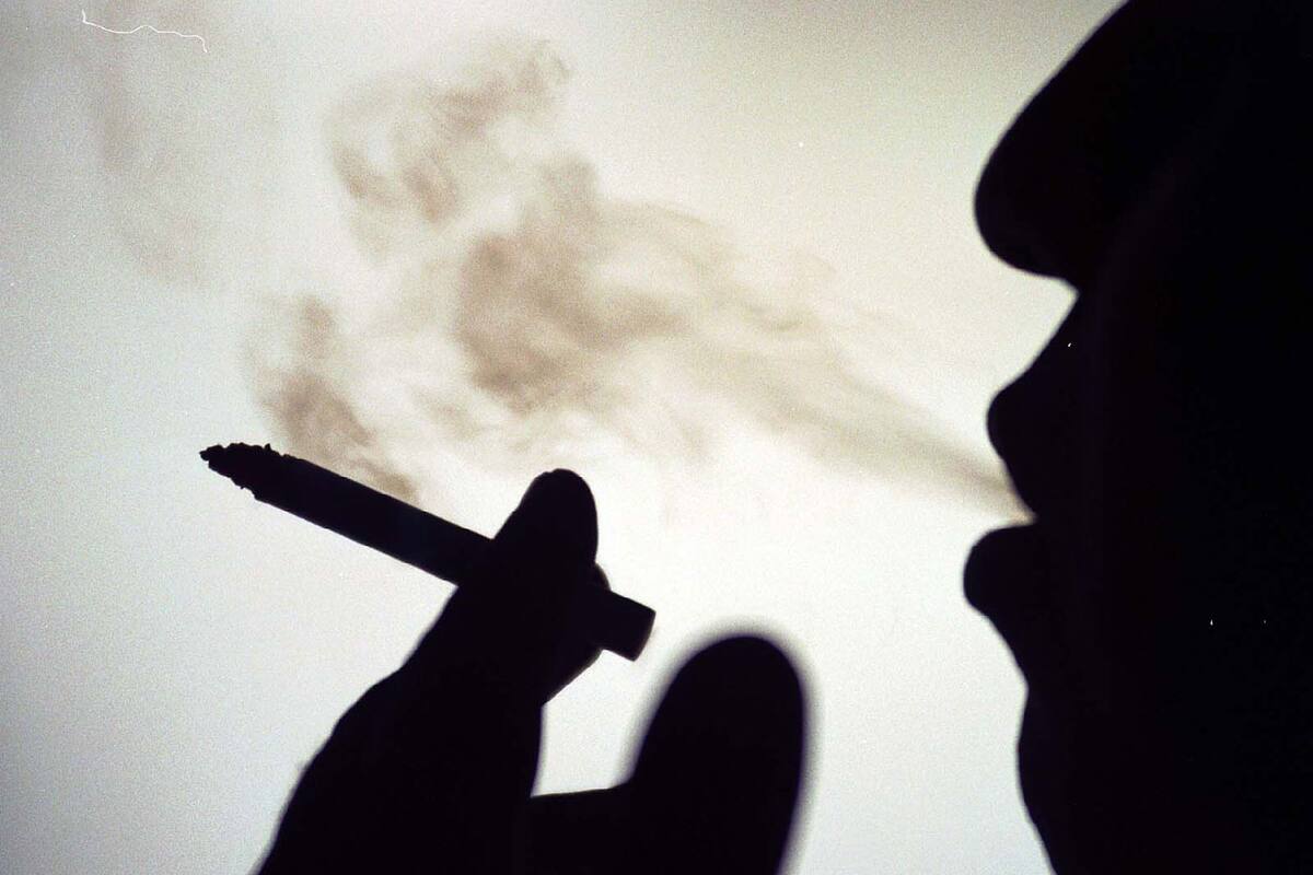 ¿Cuál es la relación entre fumar y el cáncer de pulmón?