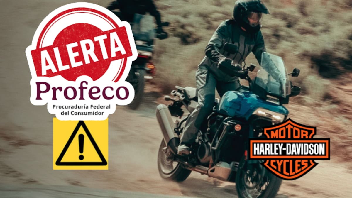 Fallo en amortiguador trasero podría causar accidente: Profeco y Harley-Davidson llaman a revisión de 498 motocicletas
