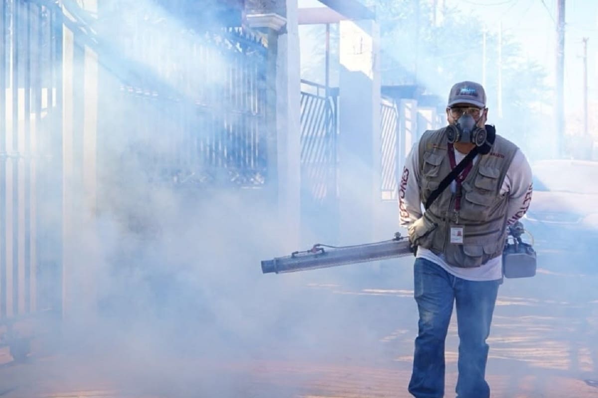 Exigen plan contra la rickettsiosis en Ensenada tras 14 defunciones en 2026