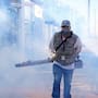 Exigen plan contra la rickettsiosis en Ensenada tras 14 defunciones en 2026
