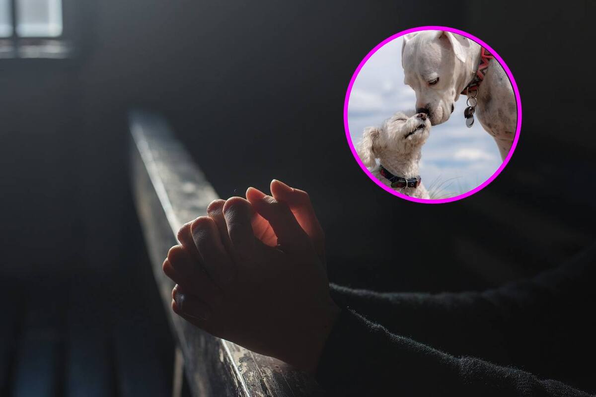 ¿Por qué se llevan a bendecir las mascotas el 17 de enero a la iglesia católica?