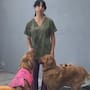 En el Día Mundial del Perro, invitan a adoptar y dar una segunda oportunidad