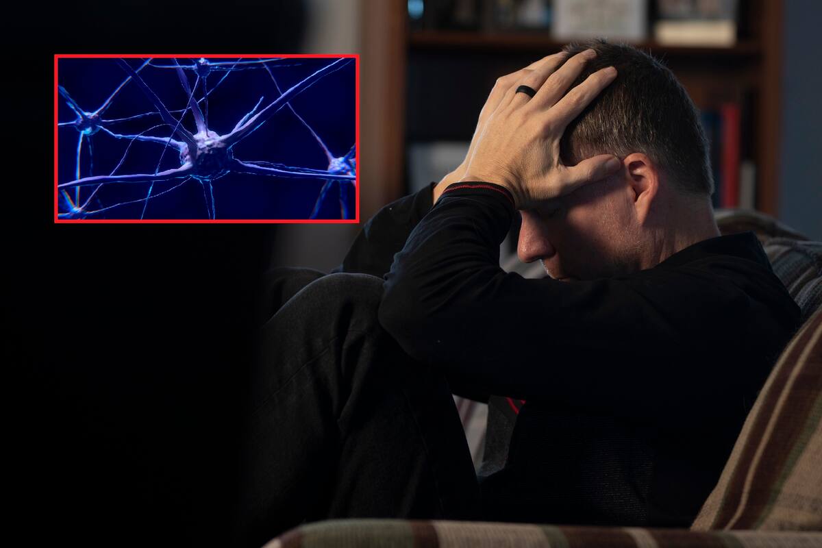 Depresión puede estar relacionada a una red neuronal aumentada