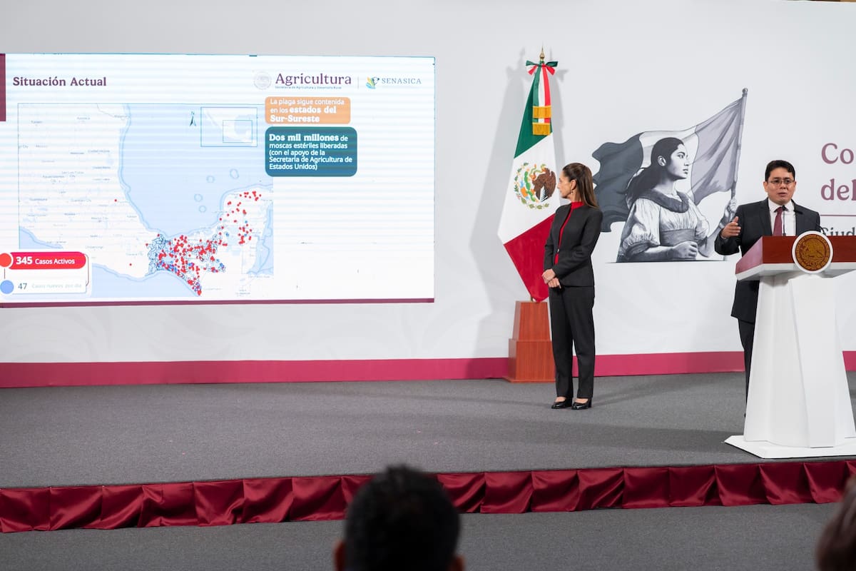 Sheinbaum: Cierre de EEUU al ganado mexicano “es exagerado”; Senasica estima control de caso en Veracruz en dos semanas