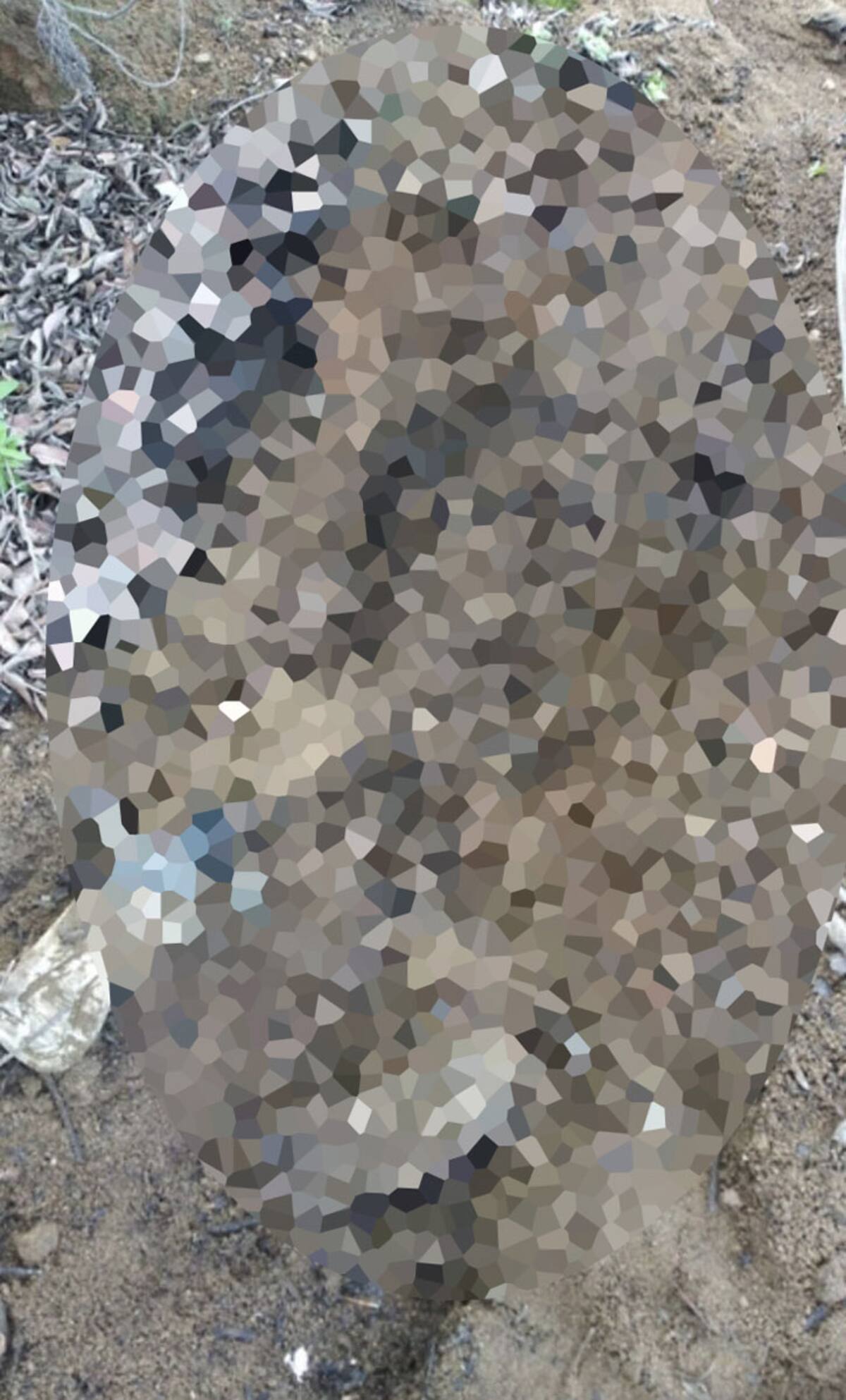 Hallazgo de cuerpos en Hacienda las Delicias III.