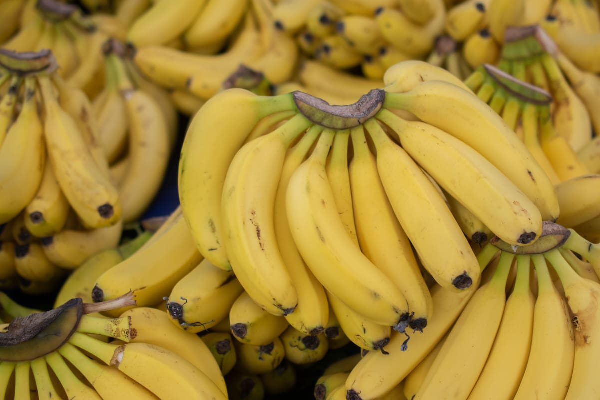 ¿Cuál es el mejor punto para comer las bananas? Cuáles son más saludables, según los expertos