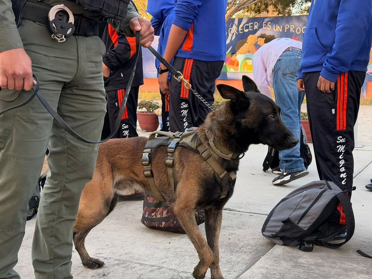Estas acciones se llevaron a cabo en conjunto con autoridades educativas, con el objetivo de reforzar las condiciones de seguridad dentro de la escuela y en sus alrededores. Foto: Cortesía