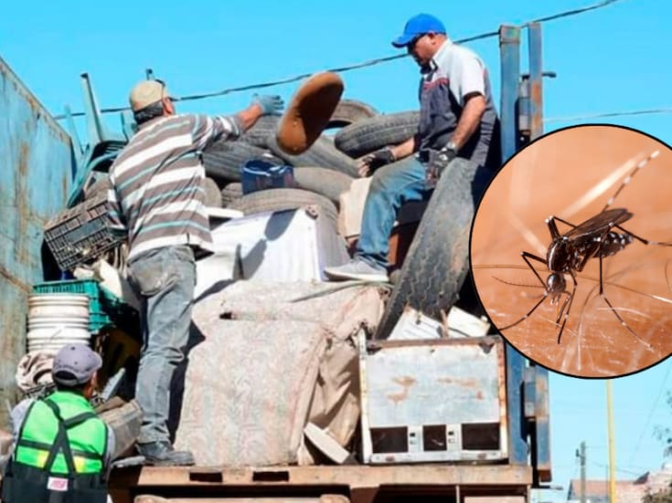 Dan batalla al dengue en CO