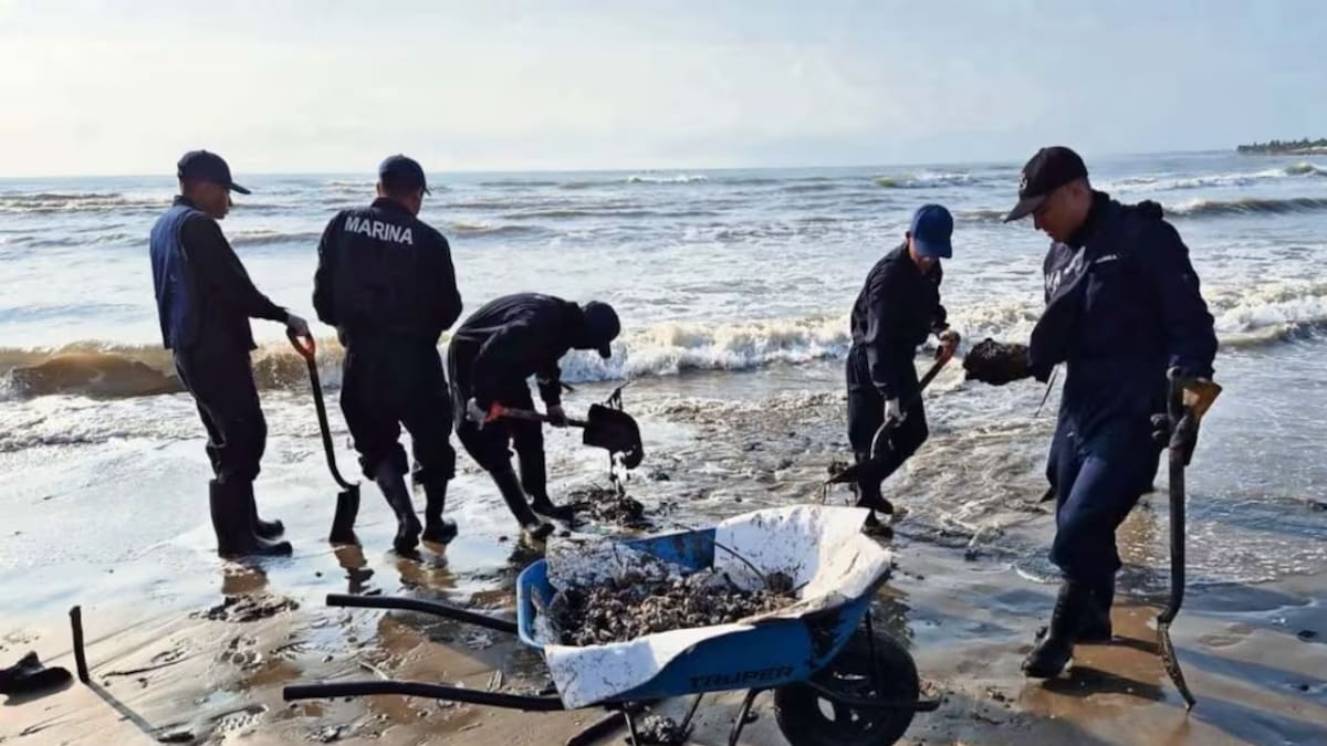 El operativo de limpieza abarca más de 630 kilómetros de costa con participación de más de 3,145 elementos. /El Universal