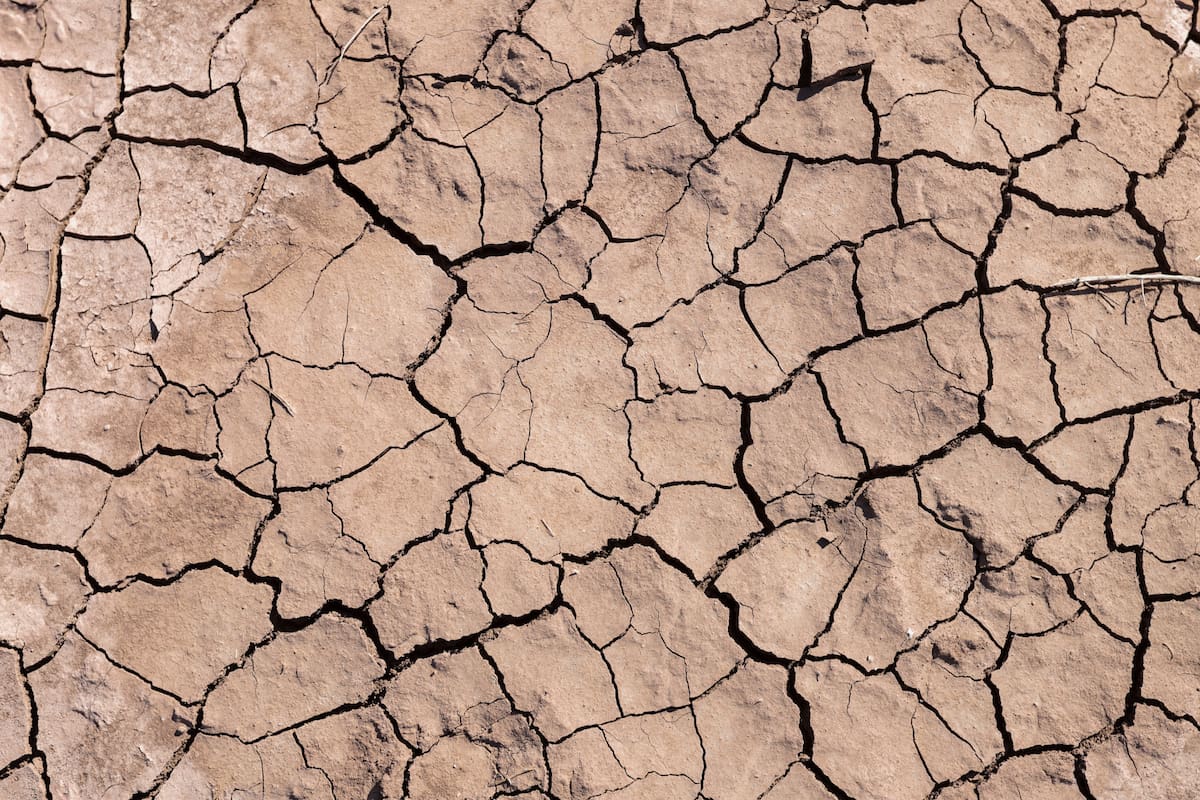 Baja California enfrenta sequía en el 100% de su territorio, reporta Conagua