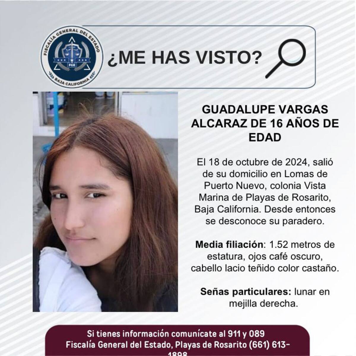 Pesquisa de Guadalupe Vargas Alcaraz.