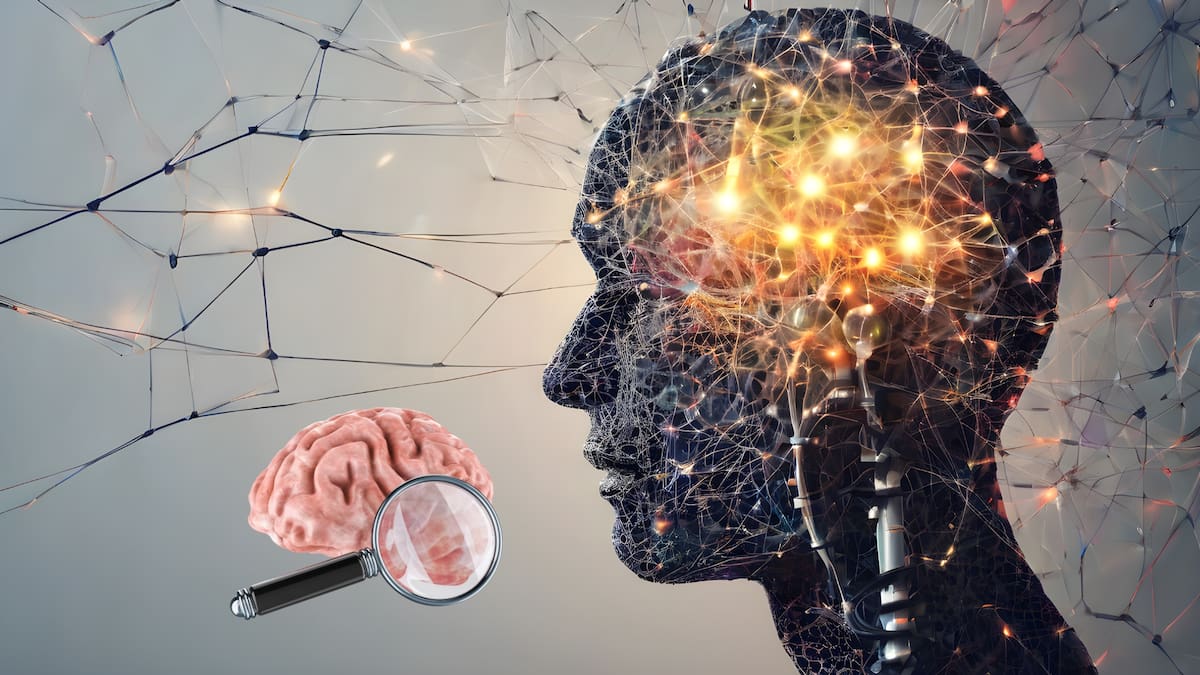 La multitarea no mejora la productividad: el cerebro alterna entre tareas en lugar de procesarlas al mismo tiempo, lo que genera un costo cognitivo real y reduce el rendimiento intelectual.