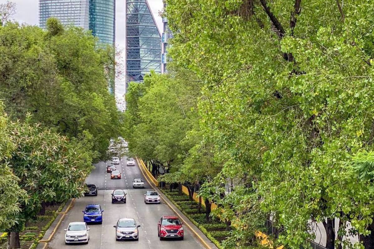 Hoy No Circula CDMX y Edomex: restricciones para este miércoles 24 de enero de 2024