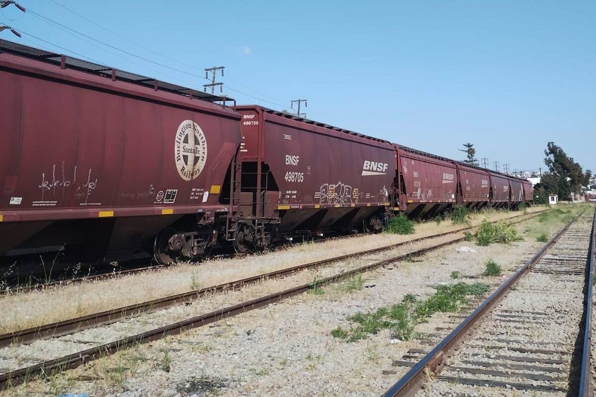 Falta infraestructura en EU para activar exportaciones por tren