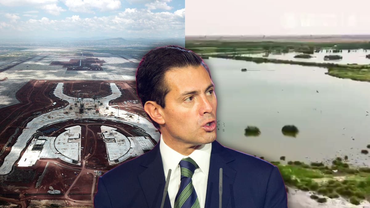 Más de 70 mil personas visitan el Parque Ecológico de Texcoco, surgido tras la cancelación del NAIM impulsado durante el gobierno de Enrique Peña Nieto