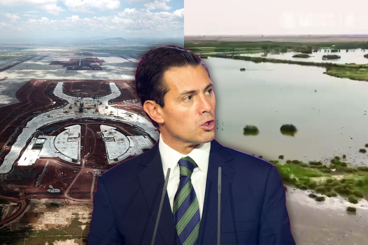 Más de 70 mil personas visitan el Parque Ecológico de Texcoco, surgido tras la cancelación del NAIM impulsado durante el gobierno de Enrique Peña Nieto