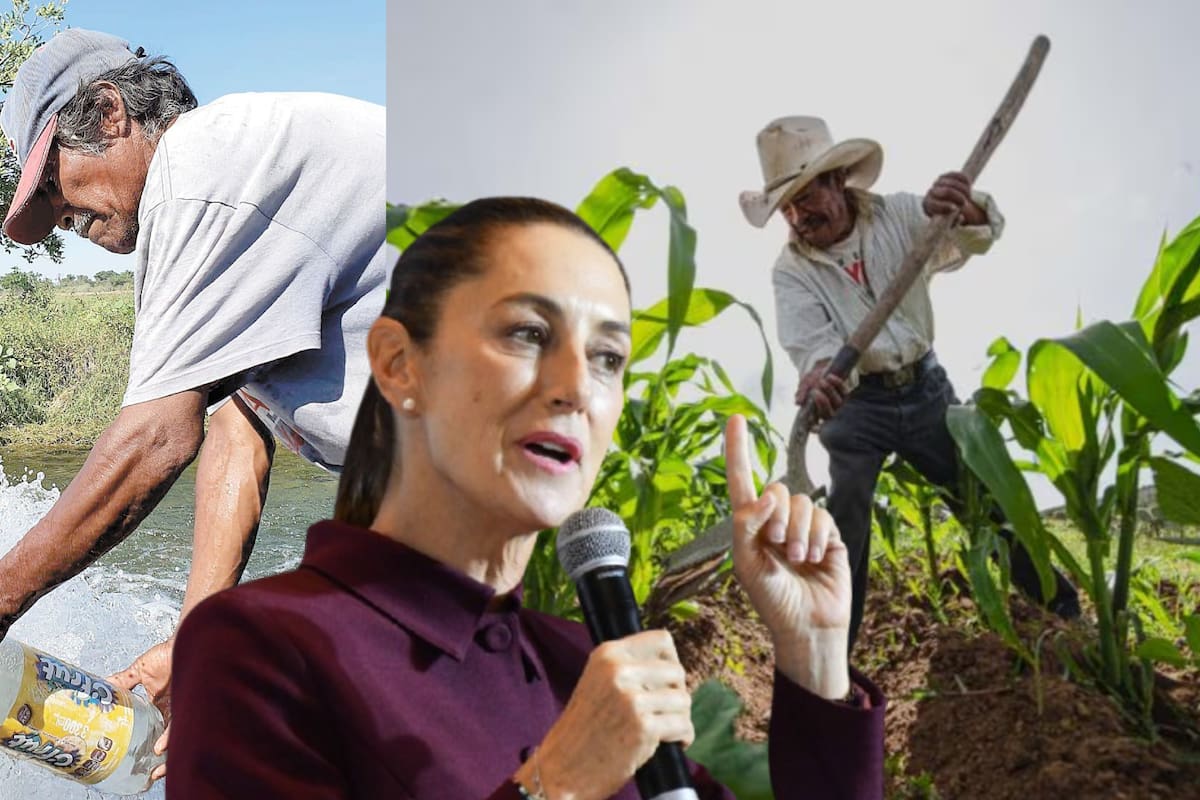 Sheinbaum acusa abuso de algunos agricultores que ganan hasta 300 millones de pesos por venderle agua a comunidades y municipios sin acceso al recurso; quiere acabar con este “privilegio de unos cuantos”