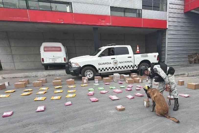 Foto: Guardia Nacional.