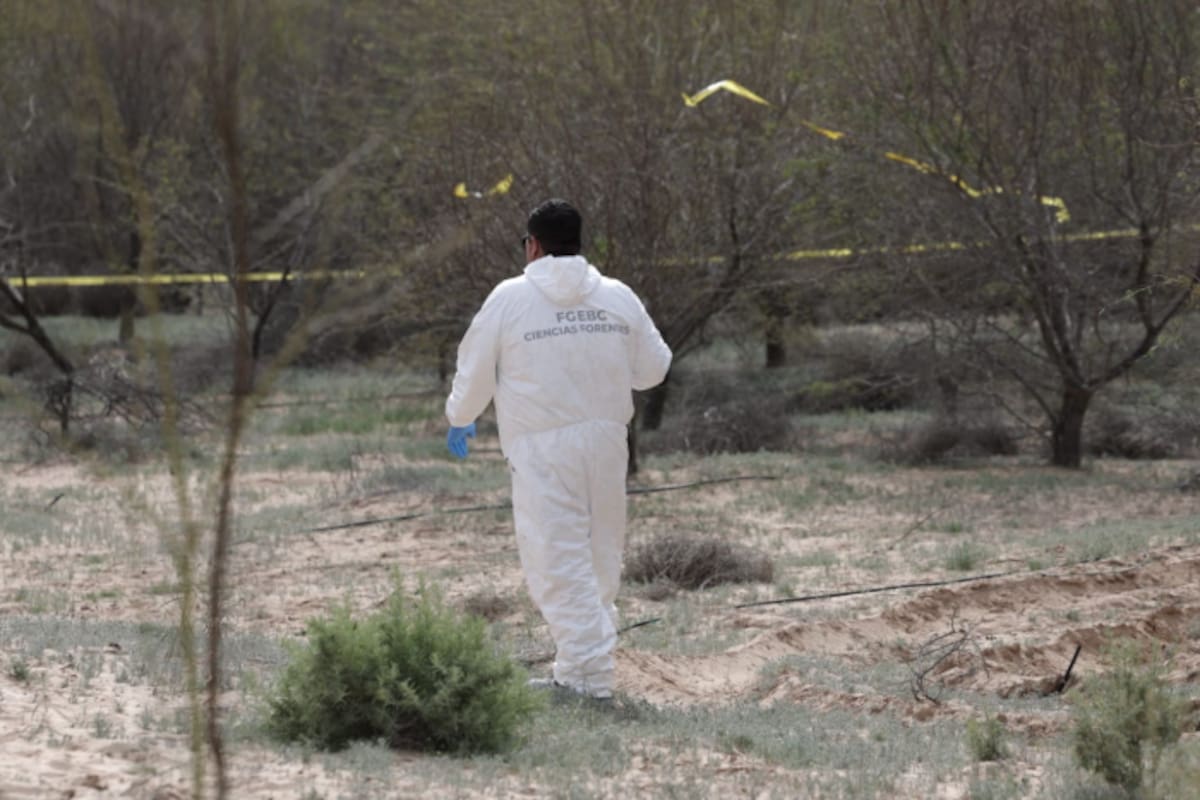 Localizan fosa clandestina número 11 en la colonia Miguel Alemán; suman 23 cuerpos y superan cifra de 2023