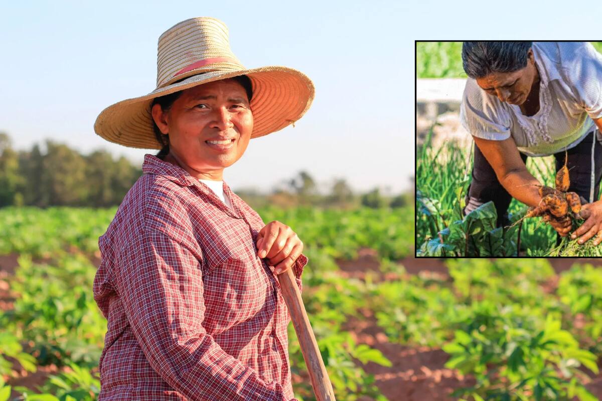 Efemérides del 15 de octubre: ¿Qué pasó un día como hoy?