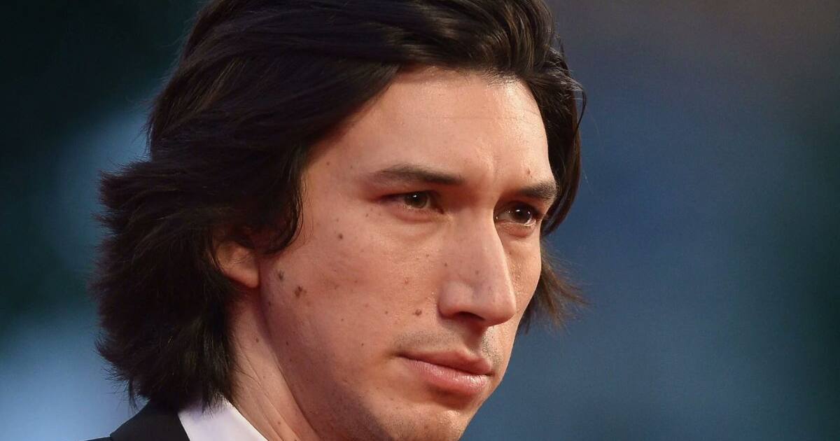 Adam Driver Rabbit Rabbit Adam Driver Vuelve a Netflix: Protagonizará el Intenso Thriller de ...