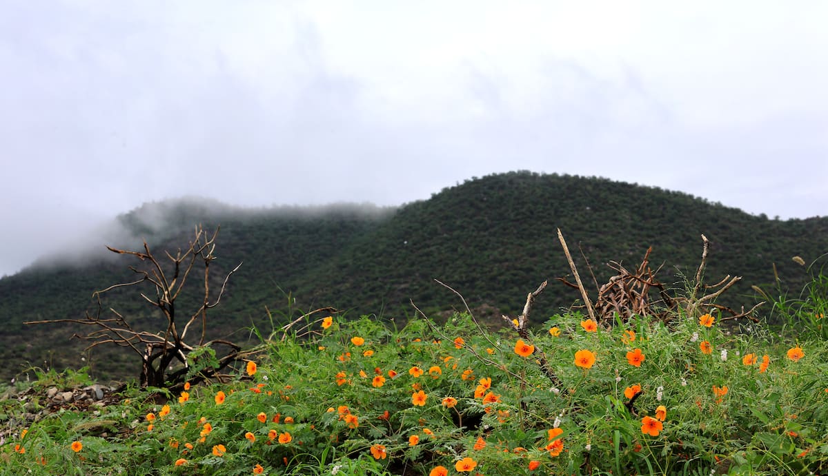 Nublados, lluvias y bajas temperaturas se esperan en Sonora por el ingreso del frente frío 34. FOTO: BANCO DIGITAL
