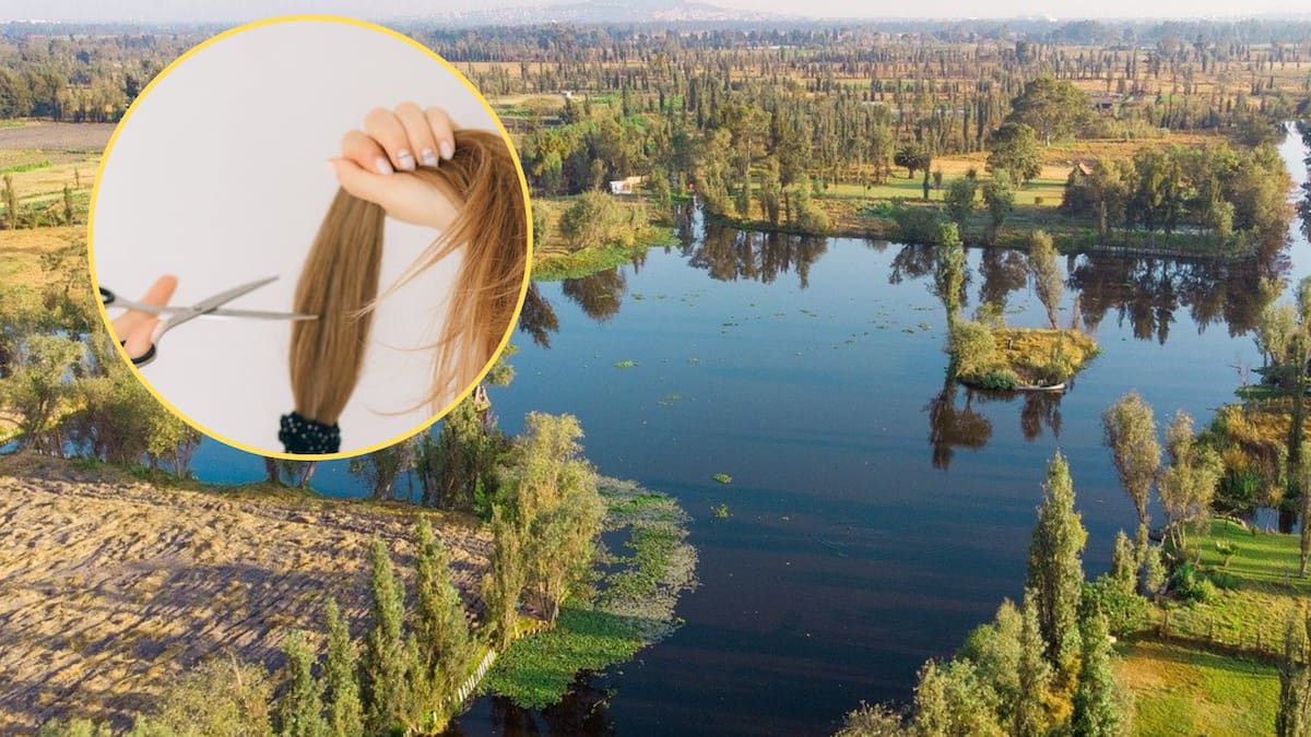 Usaron cabello humano para descontaminar un canal de agua en México: así funciona la solución ambiental aplicada en Xochimilco
