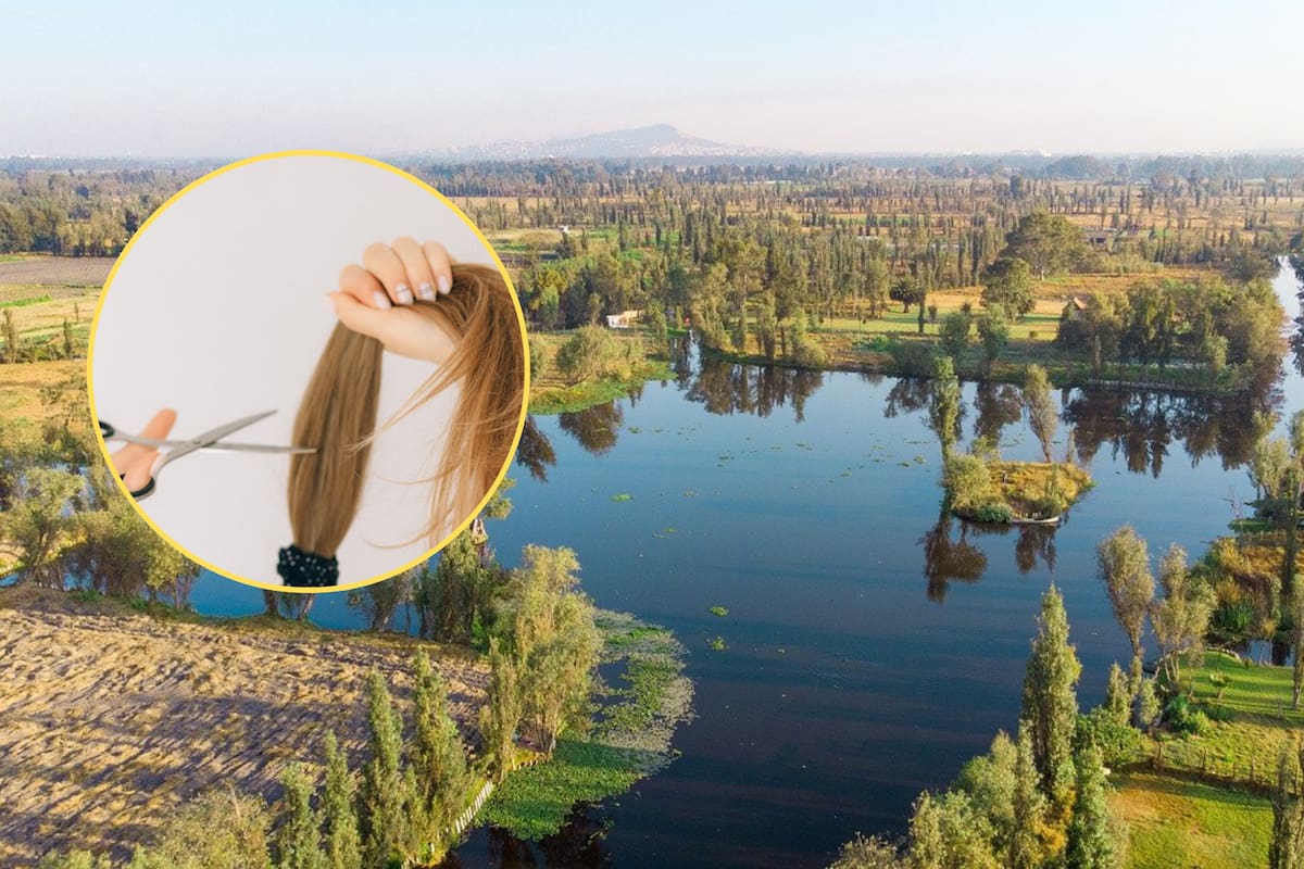 Usaron cabello humano para descontaminar un canal de agua en México: así funciona la solución ambiental aplicada en Xochimilco