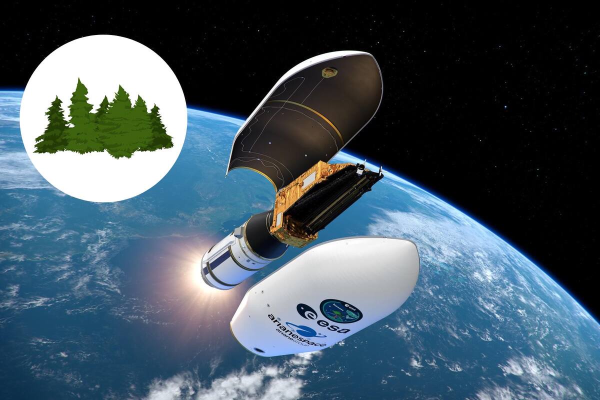 Biomass: el satélite europeo que revolucionará el estudio de los bosques, listo para su lanzamiento