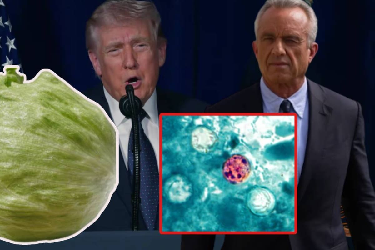 “Yo evitaría las ensaladas envasadas”, el consejo de una exfuncionaria de la FDA tras casos de ciclosporiasis en EEUU y quién también reveló que los CDC pasó de tener 11 científicos que rastreaban parásitos en los alimentos a solo tres, pero Robert F. Kennedy Jr niega recortes en programas de vigilancia alimentaria