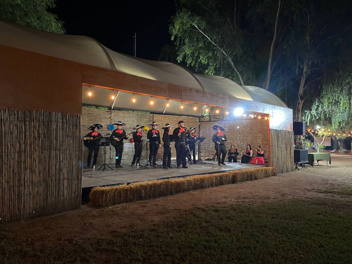 Este fin de semana se realizó el primer mercadito orgánico en el que participaron emprendedores que promueven prácticas amigables con la naturaleza.