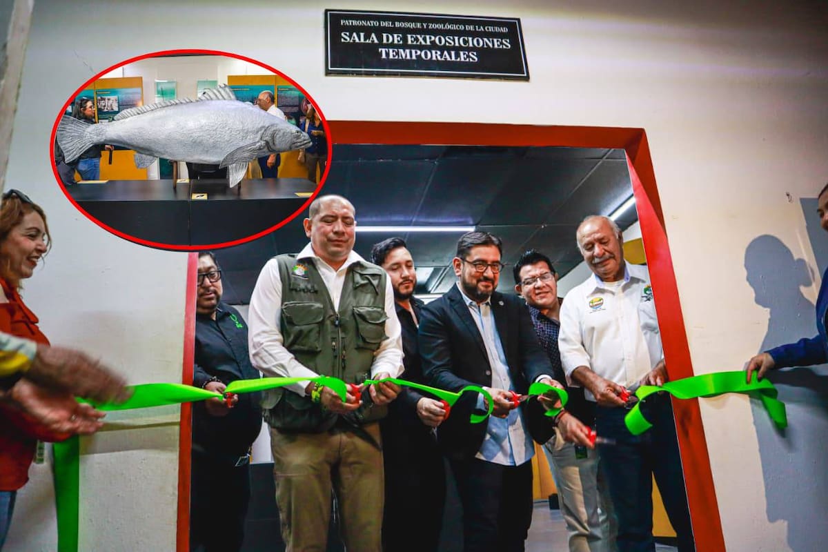 Bosque de la Ciudad y UABC inauguran espacio para la Totoaba, especie única de BC