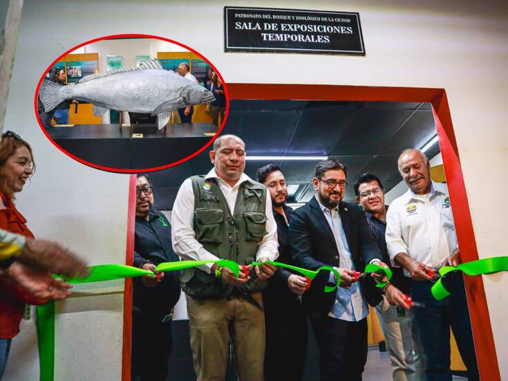 Bosque de la Ciudad y UABC inauguran espacio para la Totoaba, especie única de BC
