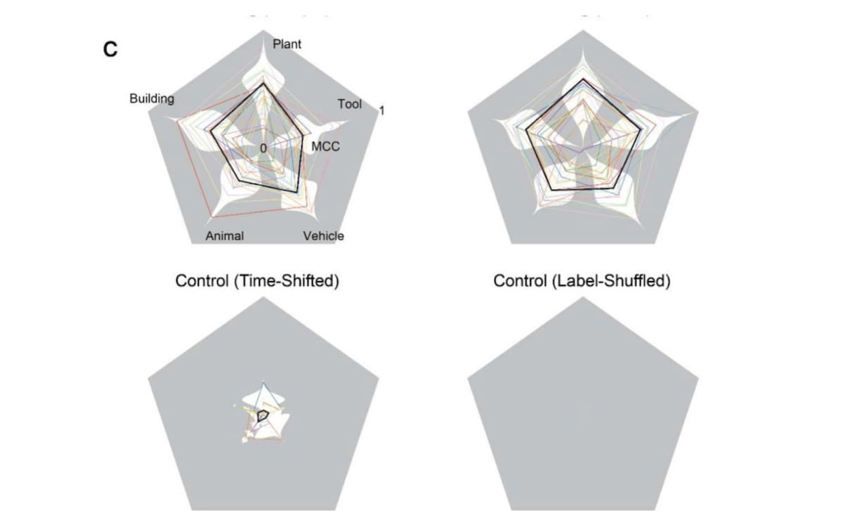 Prueba de precisión científica: Gráficos de radar que confirman la alta efectividad del algoritmo para identificar cada categoría visual, comparados con pruebas de control con datos alterados que descartan el azar.