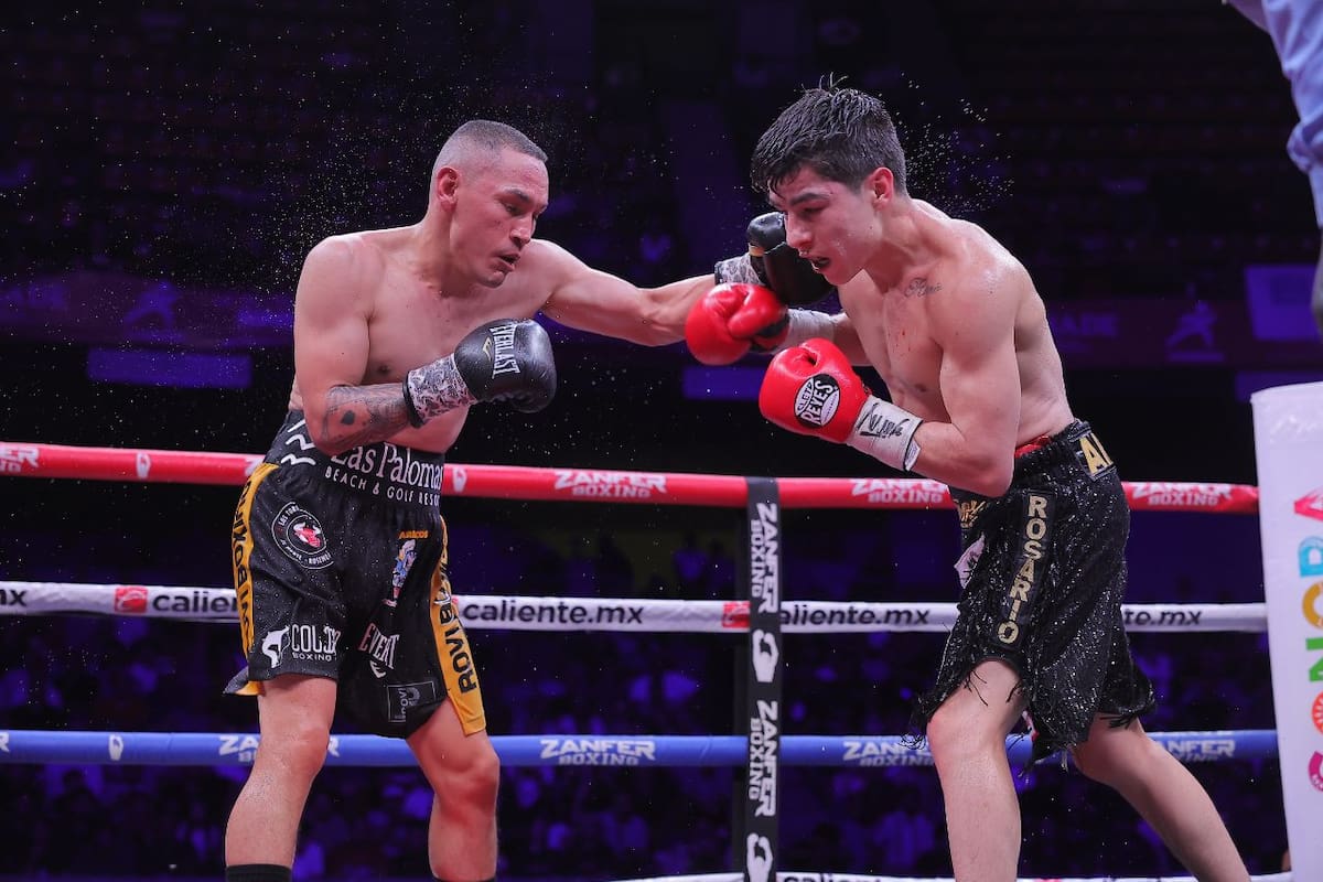 Regresa ‘Gallo’ Estrada con contundente Victoria ante Karim Arce