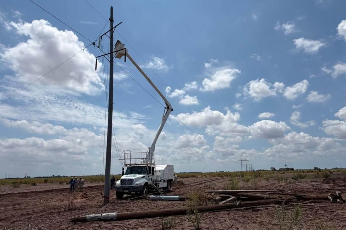 CFE restablece suministro eléctrico en Cajeme tras afectaciones por lluvias y vientos; continúan labores de reforzamiento