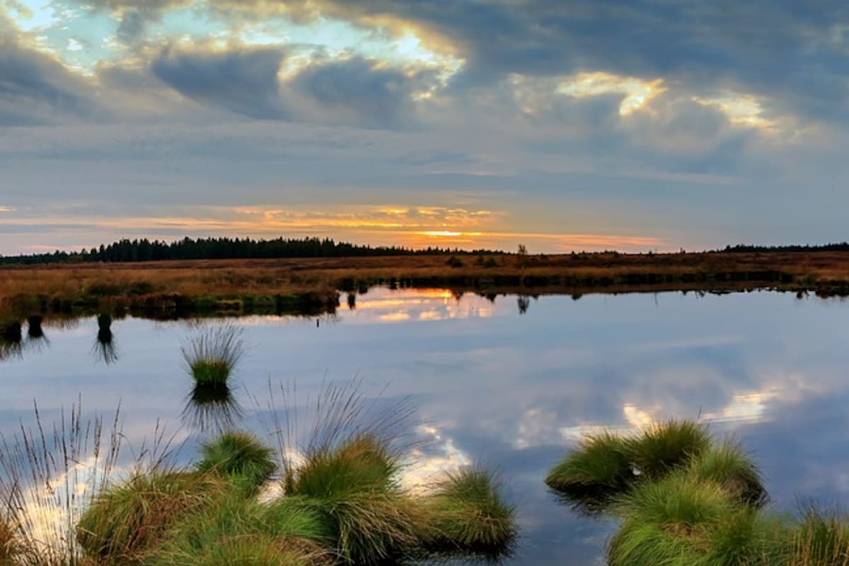 Cinco humedales importantes de México