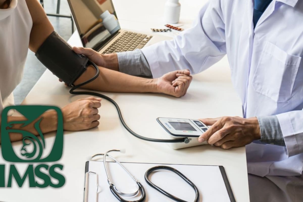 Qué se necesita para tramitar la pensión por invalidez del IMSS y obtener el 35 por ciento de tu salario cotizado