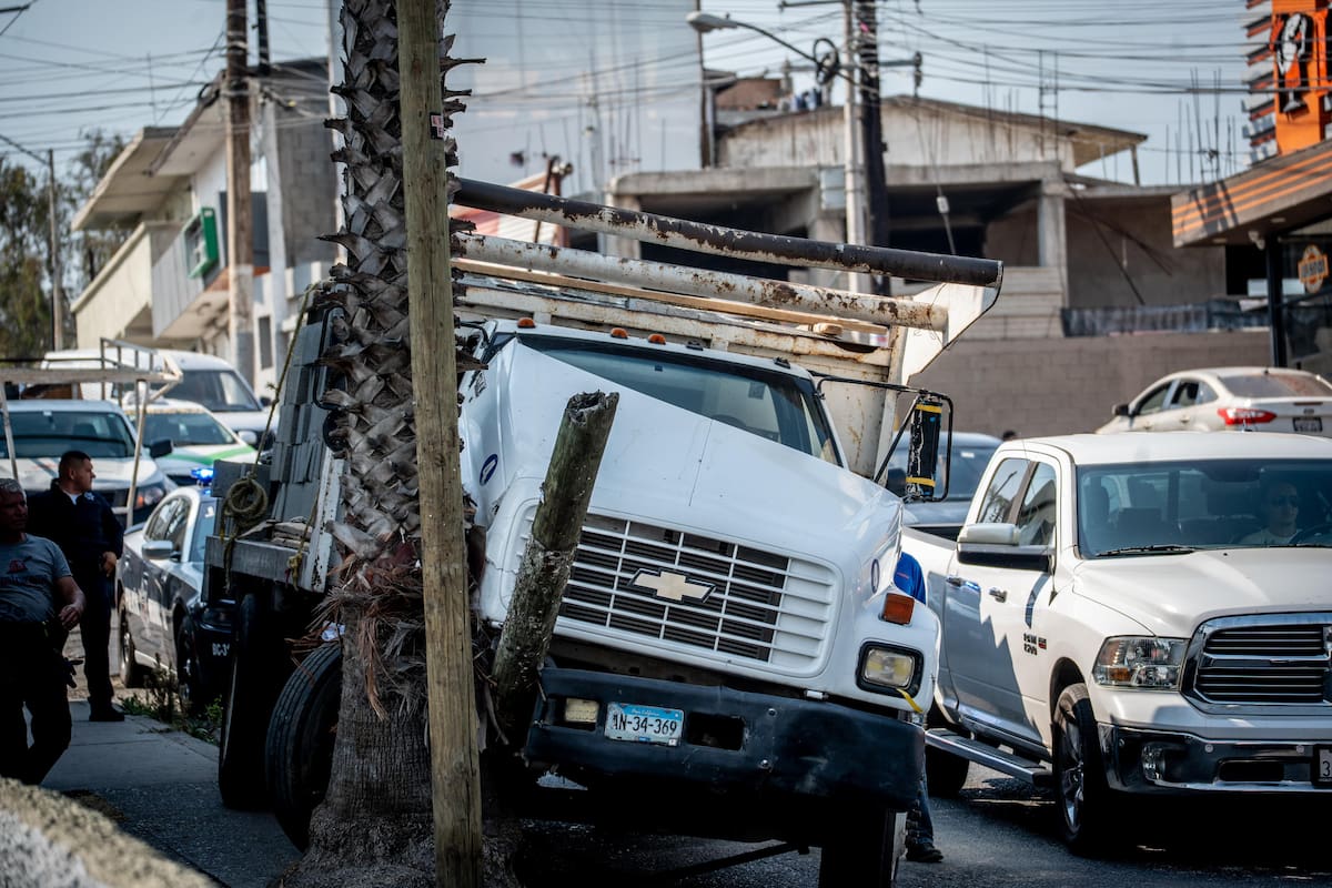 Impacta palmera camión de carga que se quedó sin frenos en la Libertad