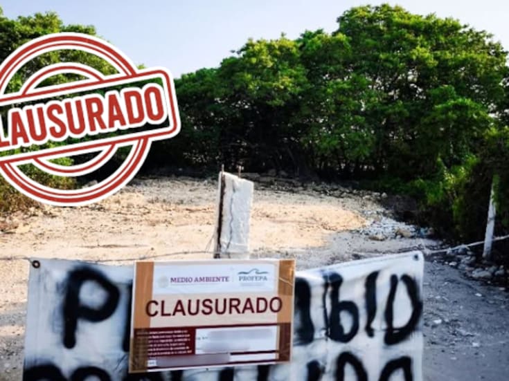 Sellan predios por destruir manglares en Yucatán: Profepa clausura obras ilegales que rellenaron zonas protegidas