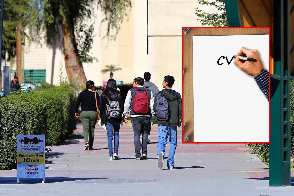 8 de cada 10 egresados de UABC consigue empleo afín a su carrera en seis meses: Palafox Maestre
