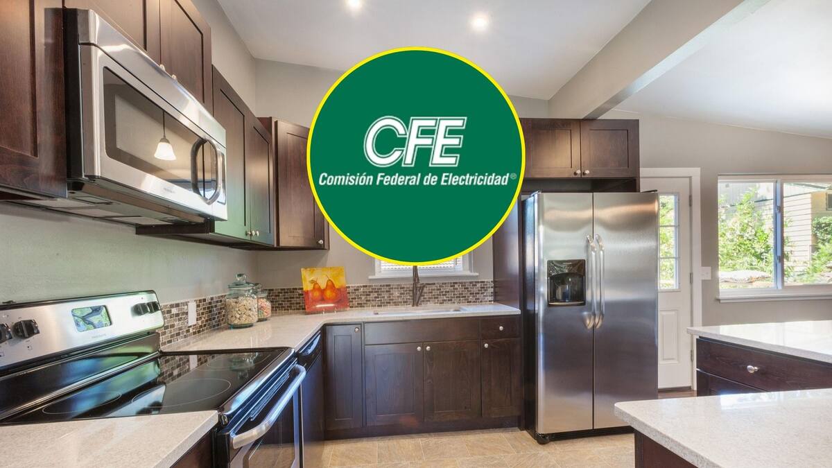 Programa para adquirir electrodomésticos con un financiamiento accesible con CFE / Especial