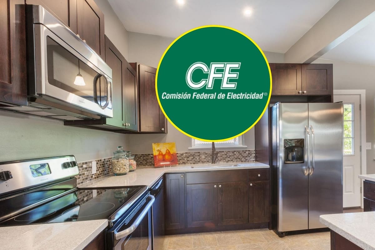 CFE relanza programa para renovar electrodomésticos: así puedes acceder al beneficio