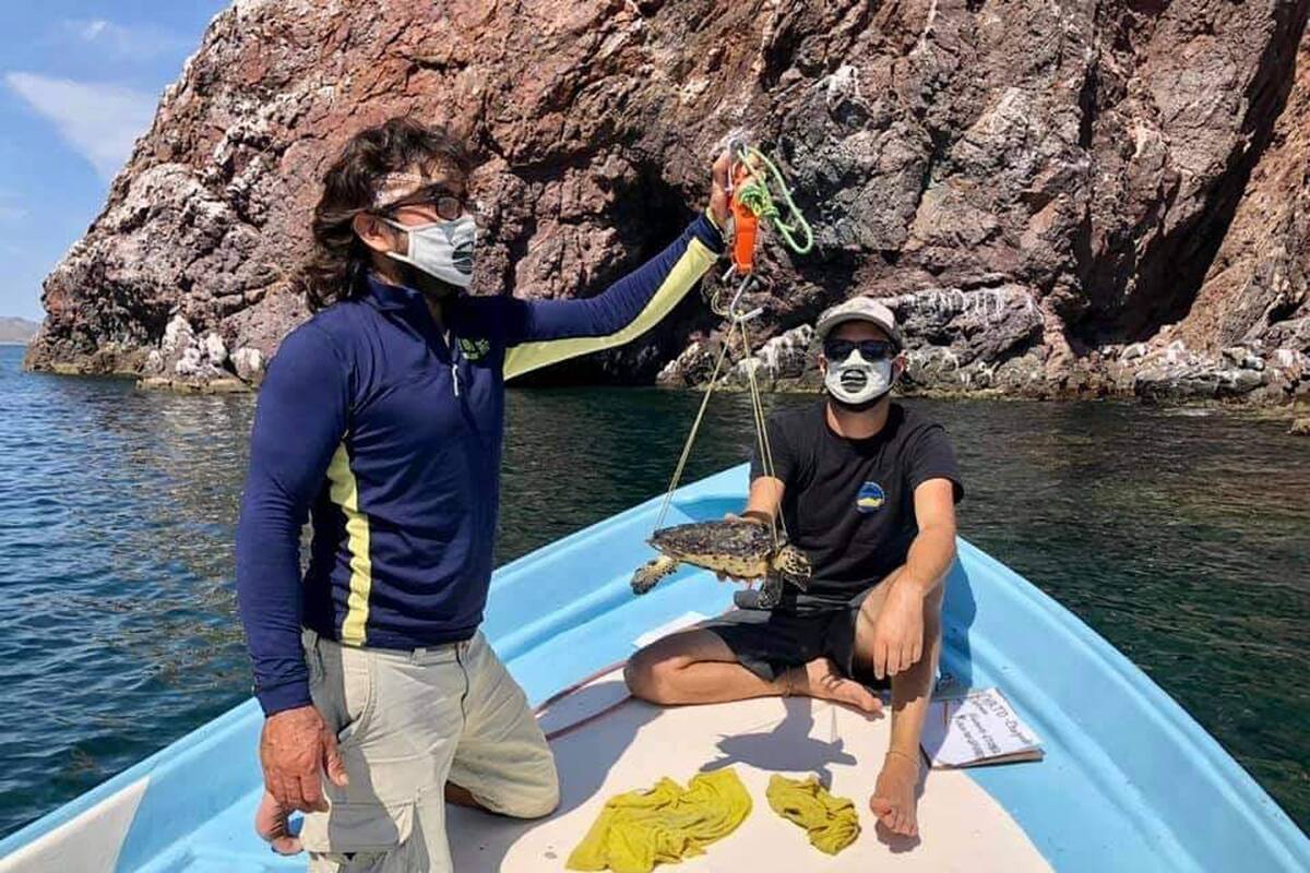 Reducción de recursos 2022 para áreas naturales protegidas afectará trabajos de ambientalistas