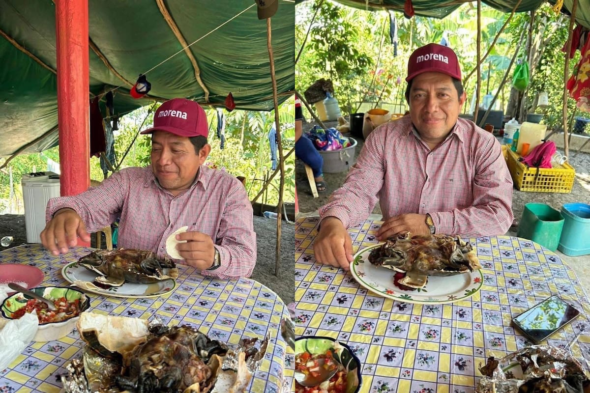 Dirigente de Morena en Tabasco comió una especie de tortuga protegida por la ley ambiental, lo presumió en redes sociales y provocó que autoridades federales advirtieran posibles sanciones