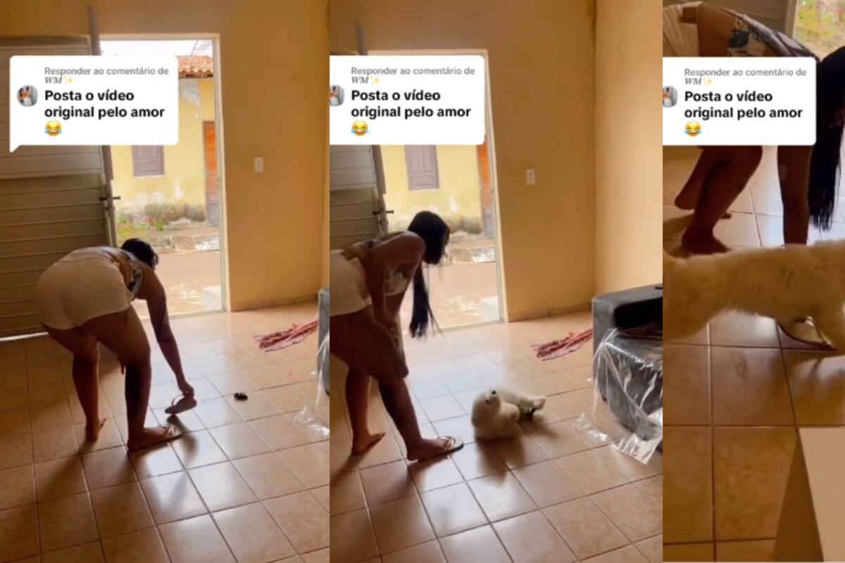 VIDEO | Mujer intenta sacar una enorme tarántula de su casa, ¡pero su perro la pisa!